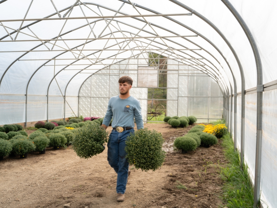 Planting dreams, one seed at a time. FFA - cultivating futures, nurturing leaders.