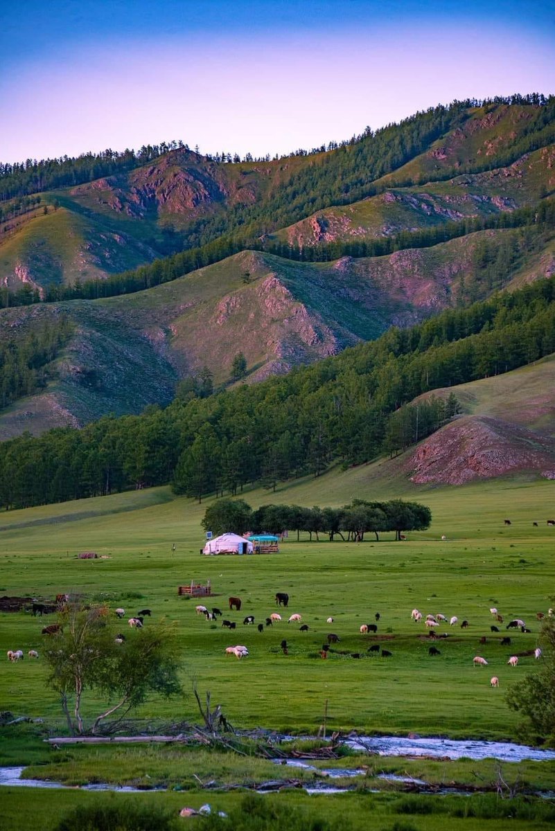 Сайхан амраарай🇲🇳