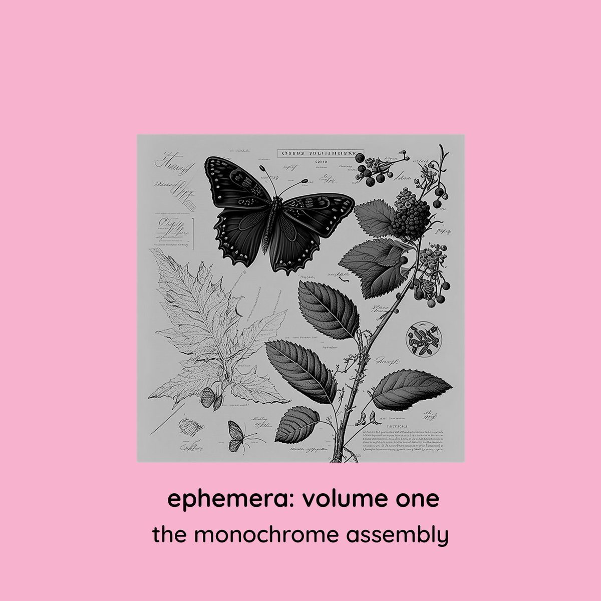 MONOCHROME MONDAY - "Ephemera Vol. One" out now. Subscriber exclusive album DL. ft. new &amp; rare tracks by <a href="/cbx33/">Cobey Rokes | Find me @cobeyrokes.bsky.social</a> <a href="/The18thMusician/">The 18th Musician</a> <a href="/tonal_drift/">tonal_drift</a> <a href="/MusicOfSoundUK/">The Music Of Sound</a> <a href="/Hipster_pug_/">Hipster Pug🎶</a> <a href="/HartshornMusic/">Andrew Hartshorn</a> <a href="/CosmicBos/">Cosmic Bos</a> <a href="/AgeofInfernal/">Age of Infernal</a> <a href="/voltage_poetry/">Voltage Poetry Project</a> A Sea Warren

monochromemotif.bandcamp.com/subscribe
