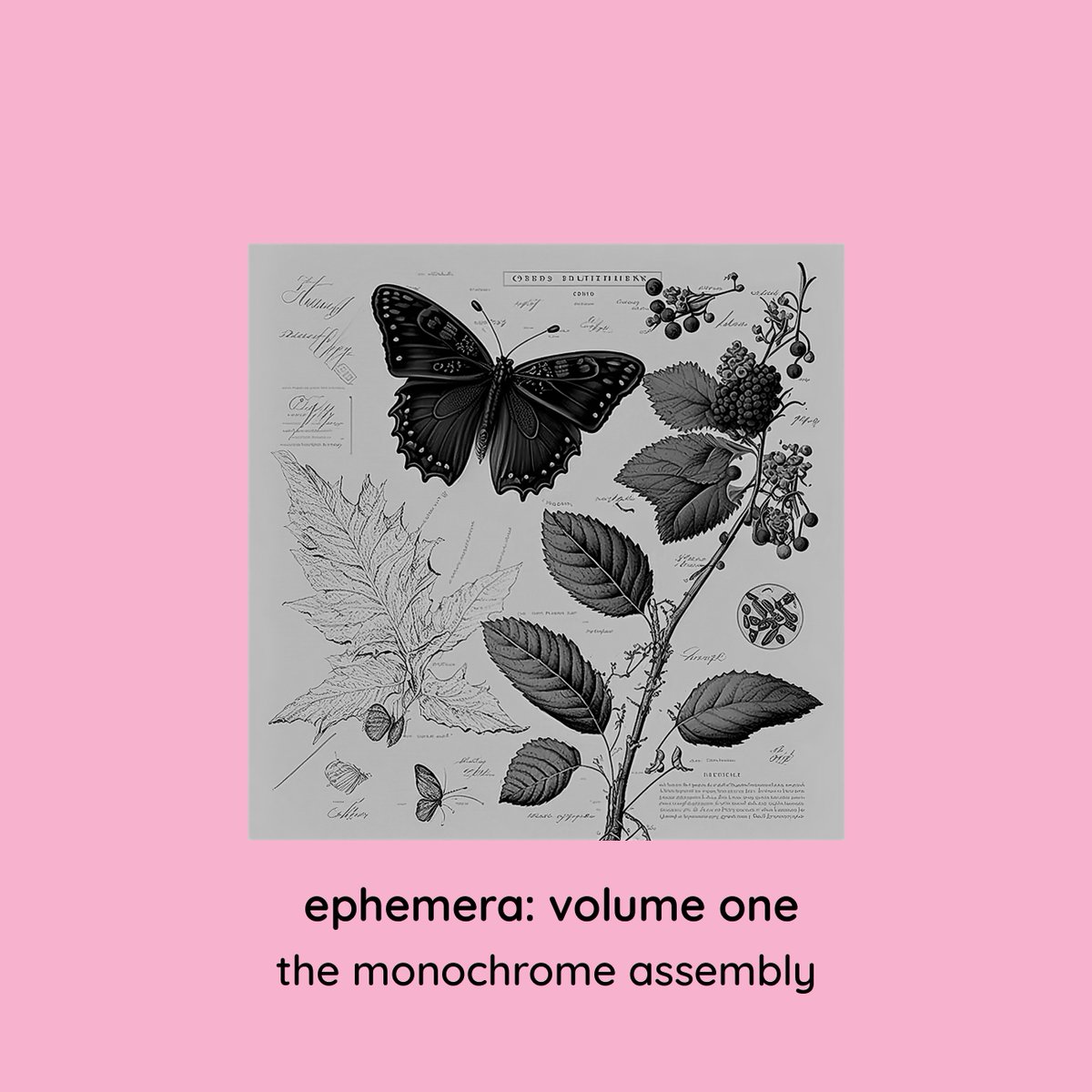 MONOCHROME MONDAY - 'Ephemera Vol. One' out now. Subscriber exclusive album DL. ft. new & rare tracks by @cbx33 @The18thMusician @tonal_drift @MusicOfSoundUK @Hipster_pug_ @HartshornMusic @CosmicBos @AgeofInfernal @voltage_poetry A Sea Warren monochromemotif.bandcamp.com/subscribe