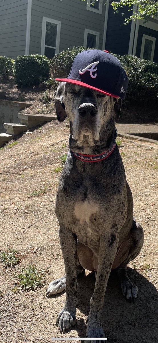 kas612's tweet photo. Biggest @Braves fan is ready for Opening Day in The A! #letschop wishing he could have a playdate with @BlooperBraves ! https://t.co/5bc0CeUE48