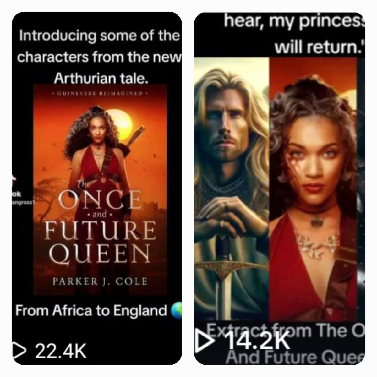 Thank you for the views on The Once And Future Queen, Guinevere Reimagined, by the talented @ParkerJCole

amazon.com/Once-Future-Qu…

#GodIsGood
#HistoricalFiction 
#HistoricalRomance 
#mustreadbook 
#africankingdom
#arthurianlegend
#arthurian