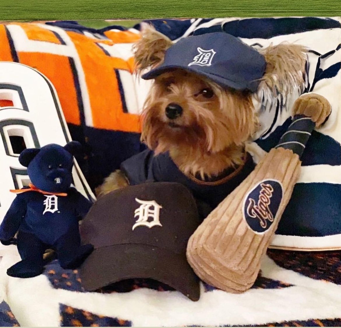 Happy Opening Day @tigers Who's ready to pawty? ⚾️❤️ #tigers #Detroit #detroittigers #OpeningDay #BaseBall #cute #love #DogsOfTwitter #DogsOnTwitter #dogsarefamily #GoTigers