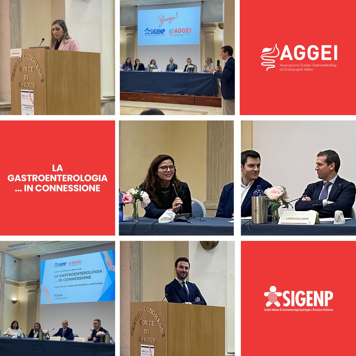 🎙️ Evento congiunto tra AGGEI e SIGENP "LA GASTROENTEROLOGIA... IN CONNESSIONE", tenutosi ieri a Roma. 📍
Un prezioso confronto tra medici del bambino e dell’adulto attraverso tavole rotonde e casi clinici.
#SIGENP #AGGEI #Medicina #Gastroenterologia
