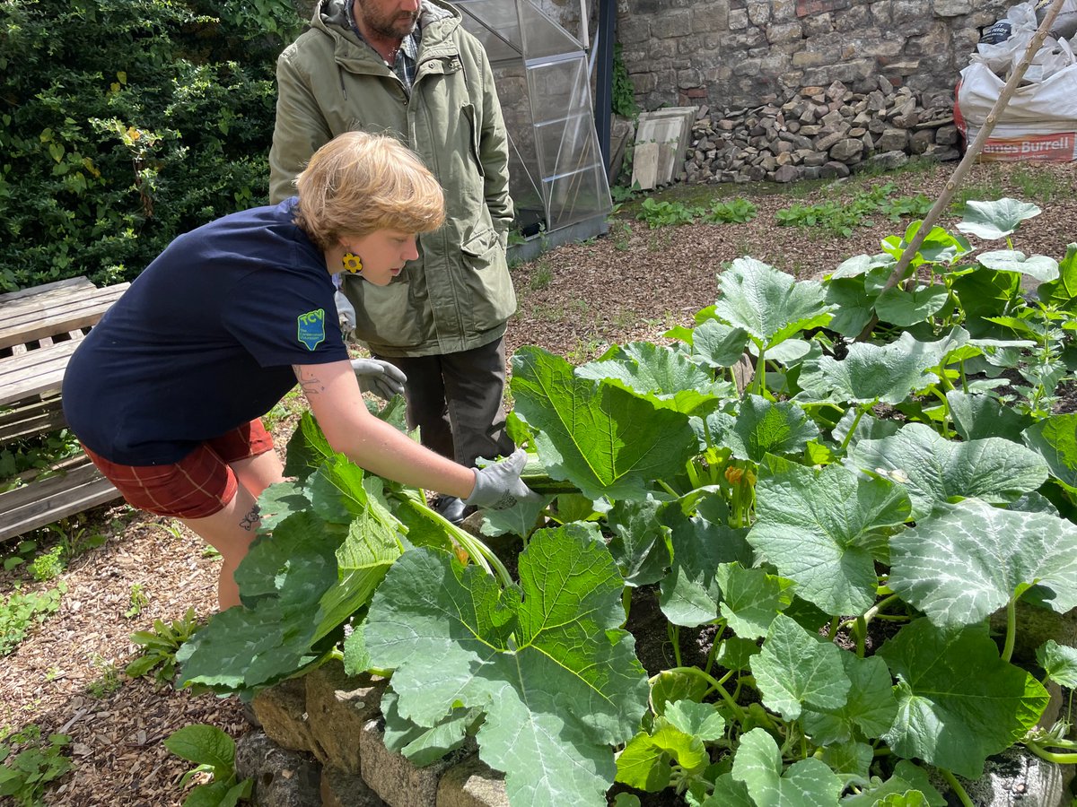 It's #CommunityGardenWeek and <a href="/TCVtweets/">The Conservation Volunteers (TCV)</a> are delighted to announce that they have received funding from <a href="/Go_CheshireWest/">Cheshire West</a> to create and improve community gardens in #EllesmerePort, with Chapter and Stamford Street Allotment Society.