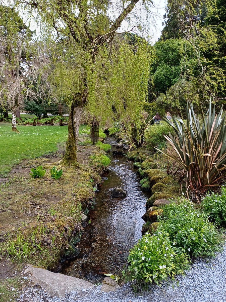 Sean Dineen tweet media