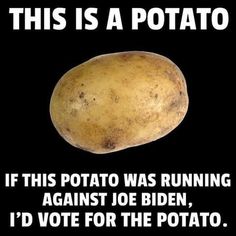 I mean, we've got no proof that the potato has ever lied to the nation...