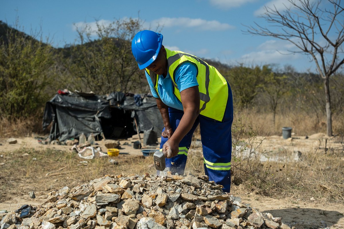 Zimbabwe Environmental Law Organisation (ZELO) tweet media