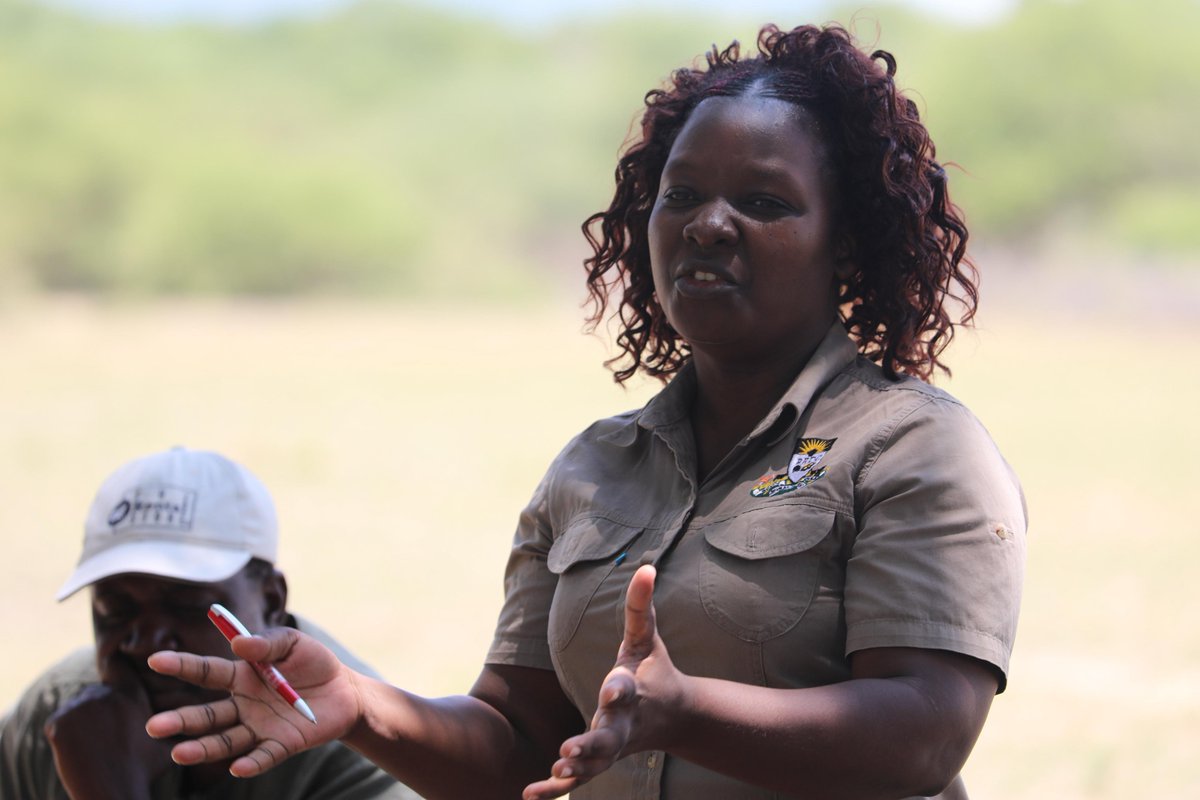 Zimbabwe Environmental Law Organisation (ZELO) tweet media