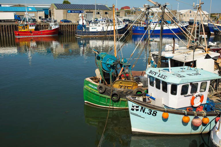 NI's biggest fishing fleet to urge UK gov to relax Brexit visa laws over 'severe shortage of seasonal workers' Another example of the disaster that Brexit is... msn.com/en-gb/news/ukn…