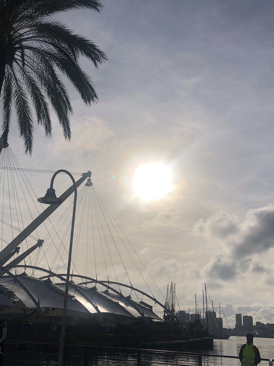 🦋CARRY tweet media