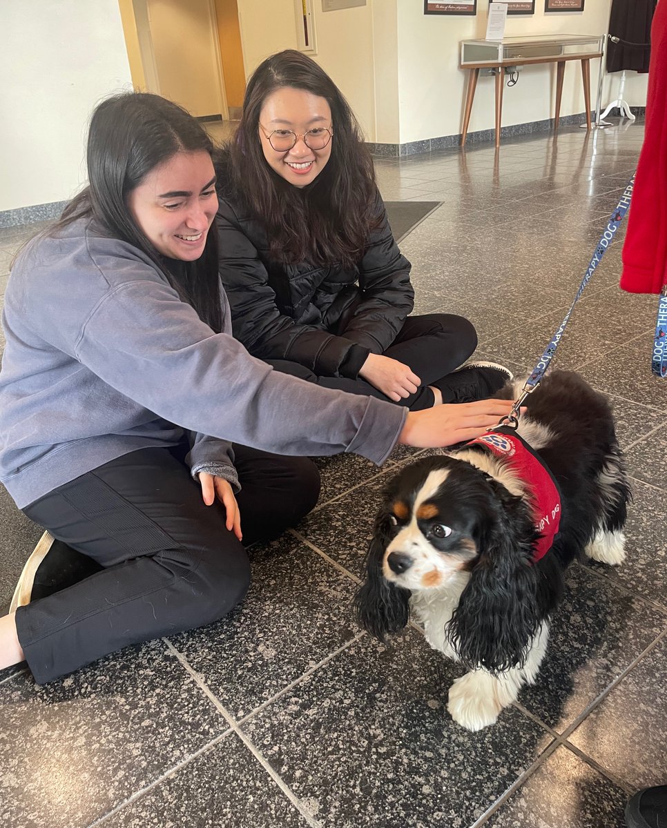Katie and Milo, therapy dogs from @hvpaws4cause, brought joy to students, staff, and faculty at the Pet the Stress Away event hosted by the Office of Student Mental Health and Wellness. #NYMC #PetTherapy