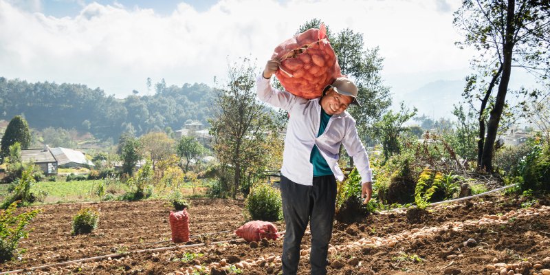 .@USAID is championing stronger integrated efforts to improve #foodsystems and advance #climate action, from the newly formed Bureau of Resilience, Environment, and Food Security to our 2022-2030 Climate Strategy. Learn more about our work: ow.ly/ze2Y50R62ao