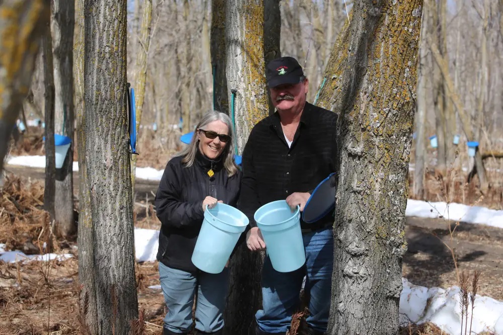 The Manitoba Maple Syrup Festival is back this year on April 20-21, offering up the sweet taste of syrup with a side of Indigenous culture and education. brandonsun.com/westman-this-w…