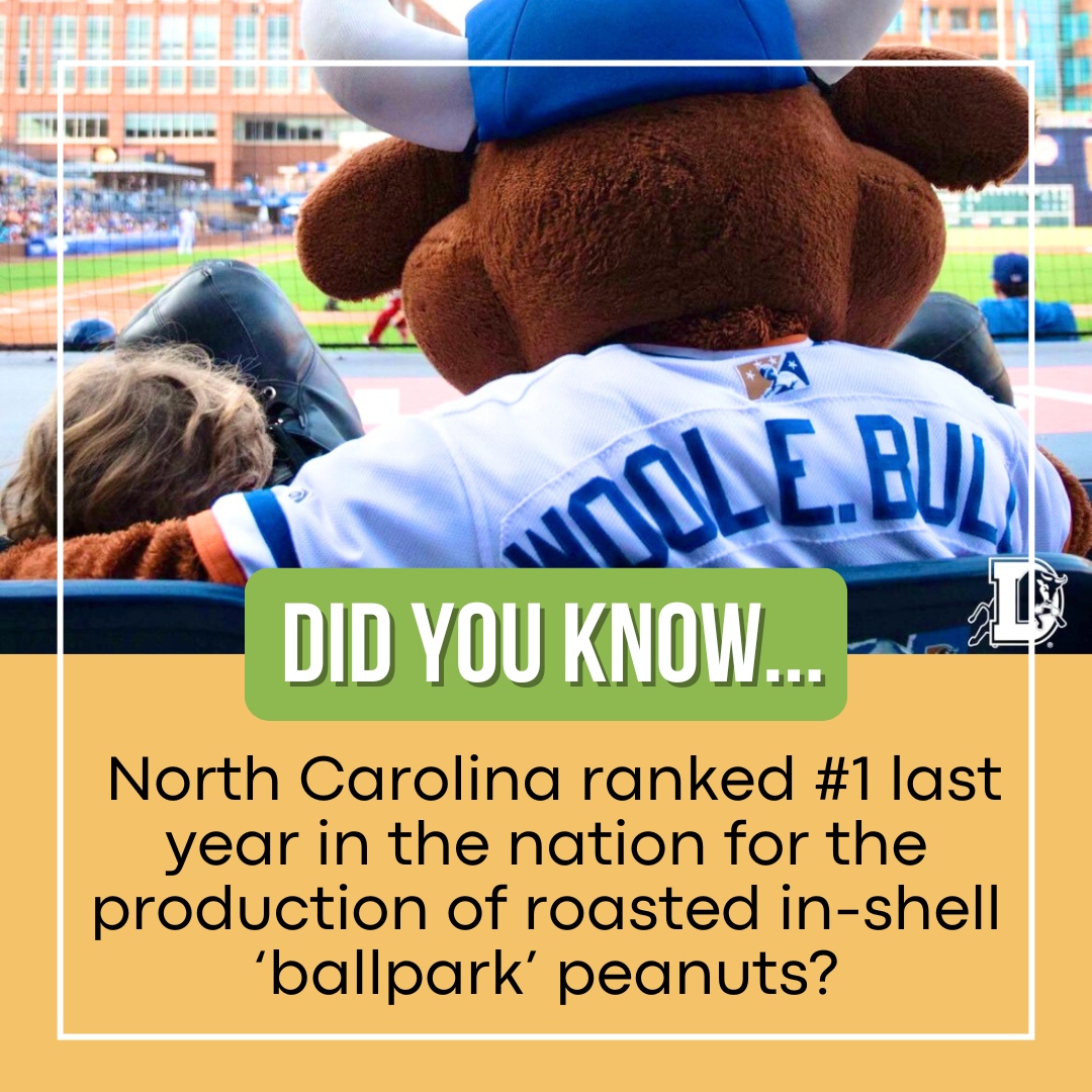 Did you know North Carolina ranked number 1 last year in the nation for the production of roasted in-shell ‘ballpark’ peanuts? With our state leading the way, remember to grab this nutritious and flavorful snack at the next <a href="/DurhamBulls/">Durham Bulls</a> game! 🐂

📸: <a href="/durhambulls/">Durham Bulls</a>

#NCPeanuts