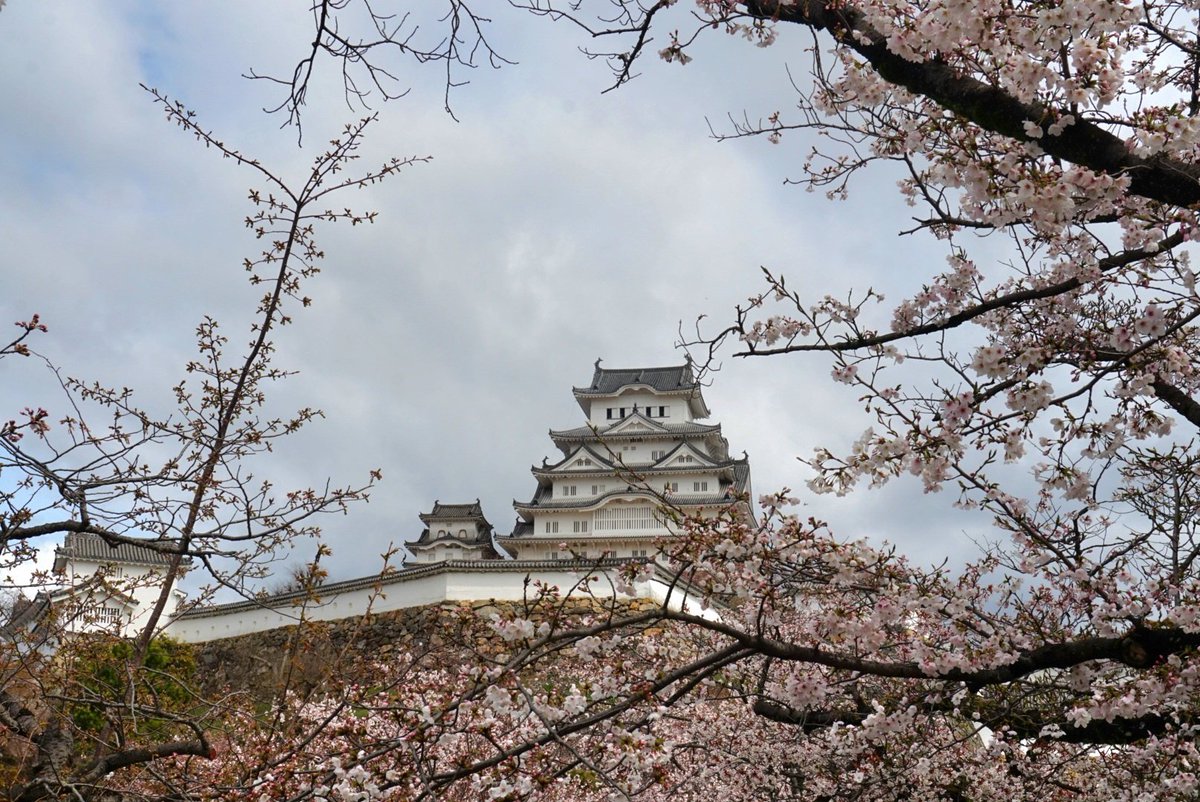 Hard to sum up the past couple of days in a few words. Yesterday we headed to Miyajima island which was a proper pinch-me bucket list moment for me. 😍 Today we went to the heartbreaking & poignant Hiroshima Peace Museum. We also made a pitstop at Himeji Castle which is stunning!