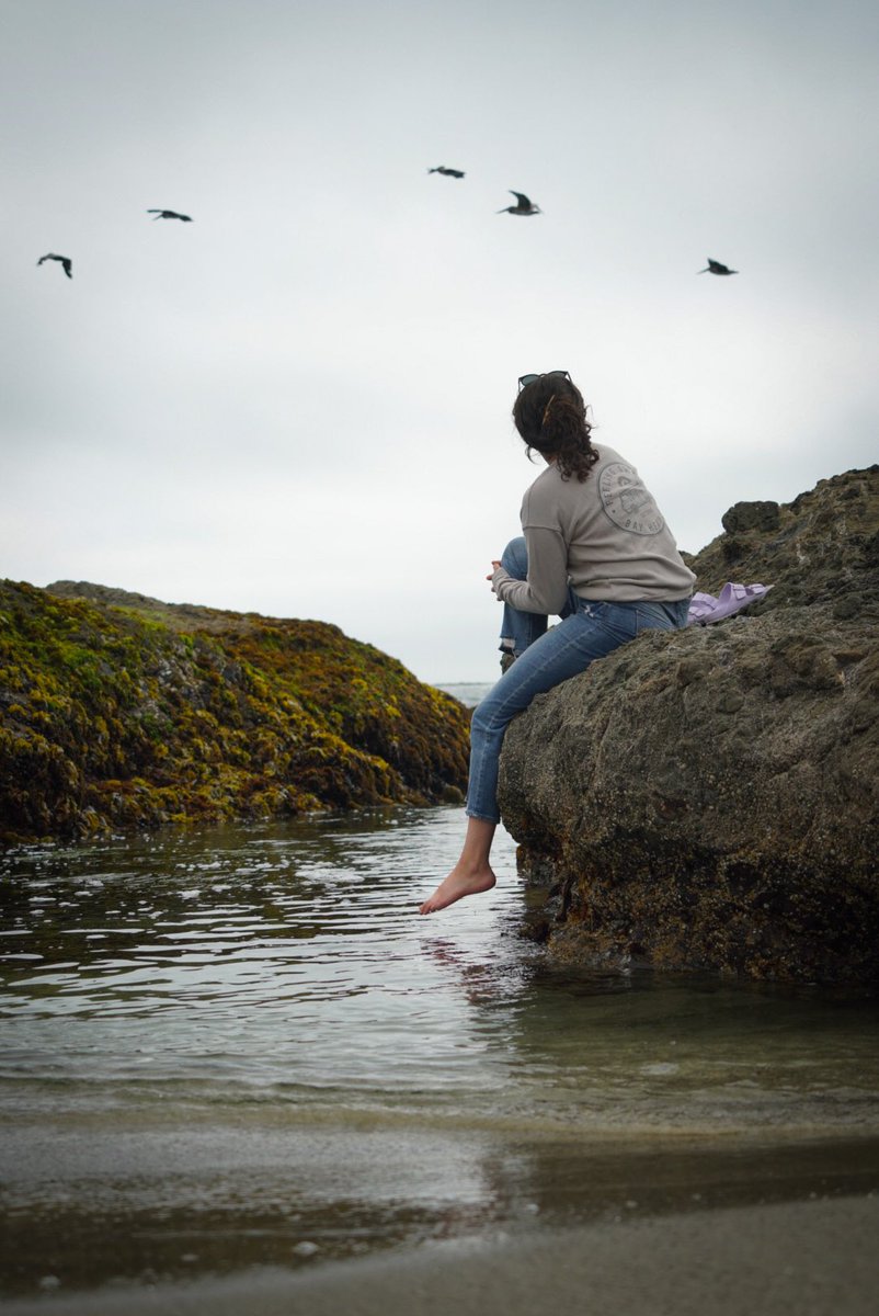 cs_morris's tweet photo. Sarah! #photography #birds #ocean #pacificocean https://t.co/t0UrURcNdY