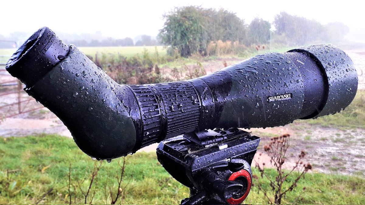 Whatever the weather throws at you, @SwarovskiOptik will see you through. #GoBirding #SeeTheUnseen #ForTheLoveOfNature birders-store.co.uk/swarovski-atc-…