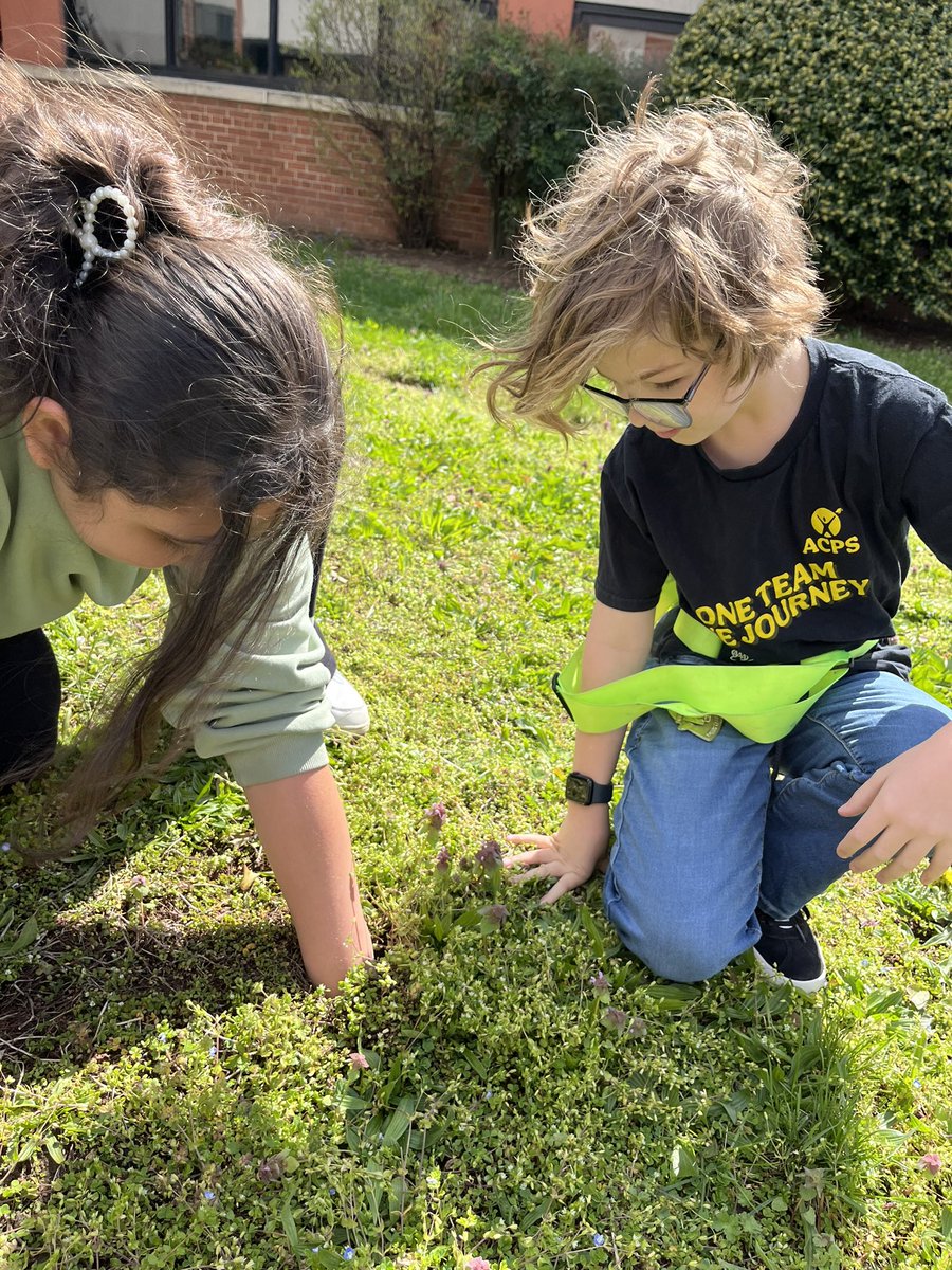 Cora Kelly STEM (@ckelemstem) on Twitter photo Welcome back, Tankini! Today we observed a box turtle emerging from her winter tunnel. Some brave students checked the tunnel’s depth! 😱 Spring is officially here at <a href="/CKELEM/">Cora Kelly</a> 🐢🌷! <a href="/CKelemPrincipal/">Cora Kelly Principal</a>
<a href="/ACPSk12/">Alexandria City Public Schools</a> <a href="/AlexandriaSTEM/">ACPS STEM</a> Welcome back, Tankini! Today we observed a box turtle emerging from her winter tunnel. Some brave students checked the tunnel’s depth! 😱 Spring is officially here at <a href="/CKELEM/">Cora Kelly</a> 🐢🌷! <a href="/CKelemPrincipal/">Cora Kelly Principal</a>
<a href="/ACPSk12/">Alexandria City Public Schools</a> <a href="/AlexandriaSTEM/">ACPS STEM</a>