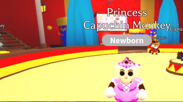 It’s madness opening these Capuchin boxes 🤪🤪🤪 so far my favorite 😍 
<a href="/PlayAdoptMe/">Adopt Me!</a>