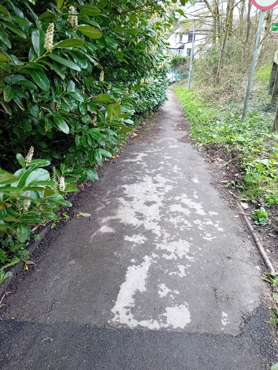 TheLengthsman's tweet photo. Job of the Day this afternoon was cutting back bushes and removing weeds and compacted leaves on this busy little footpath in #Backbarrow https://t.co/d4rvhc5GyH