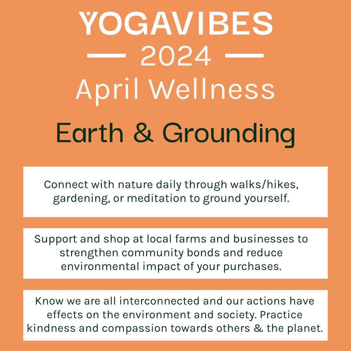 YogaVibes.com tweet media