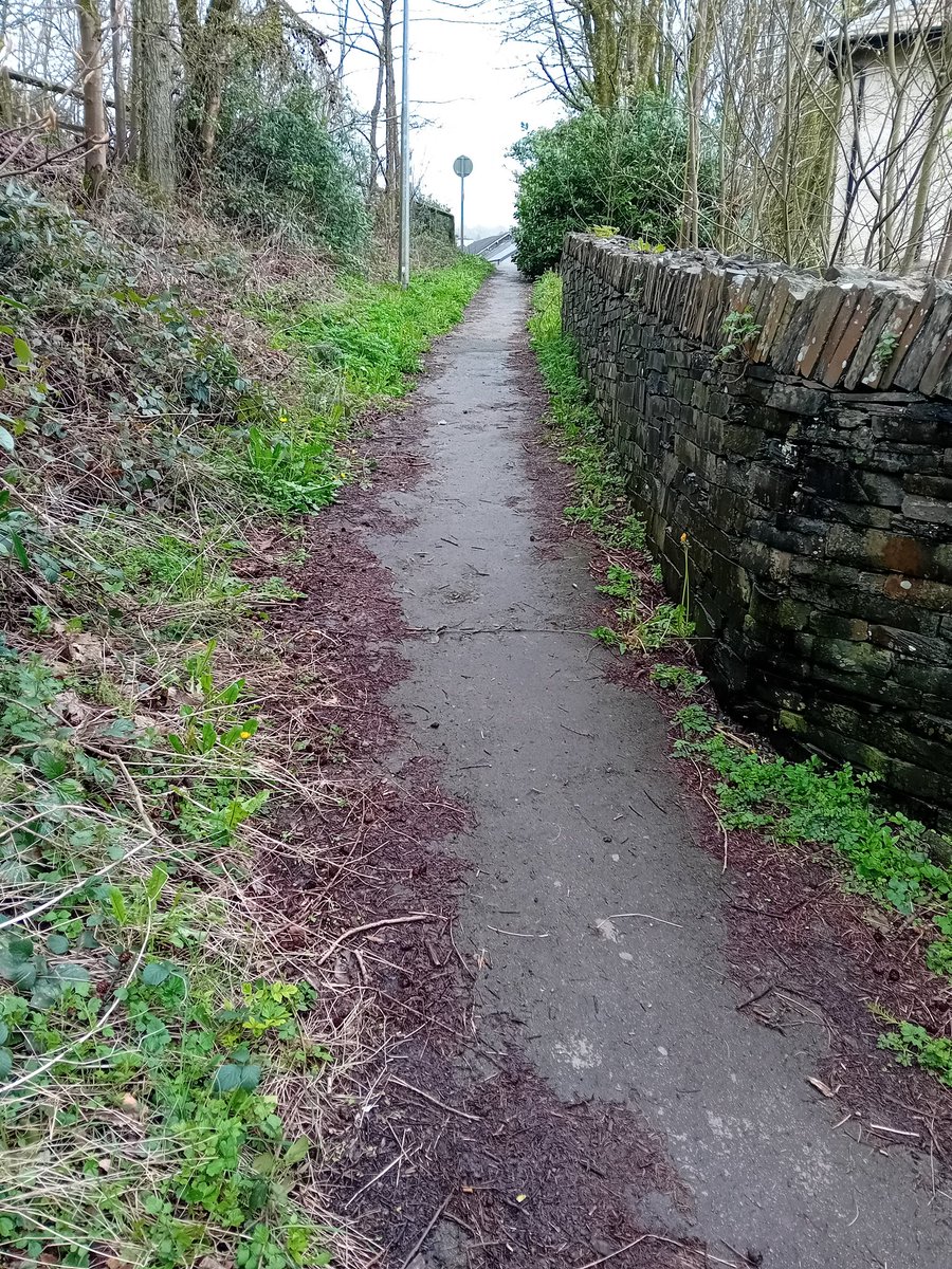 TheLengthsman's tweet photo. Job of the Day this afternoon was cutting back bushes and removing weeds and compacted leaves on this busy little footpath in #Backbarrow https://t.co/d4rvhc5GyH