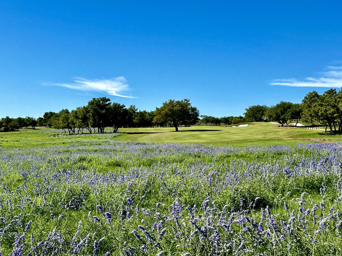 Happy Friday!  ⛳️ 😎 #hillcountry #sage #ranchlife