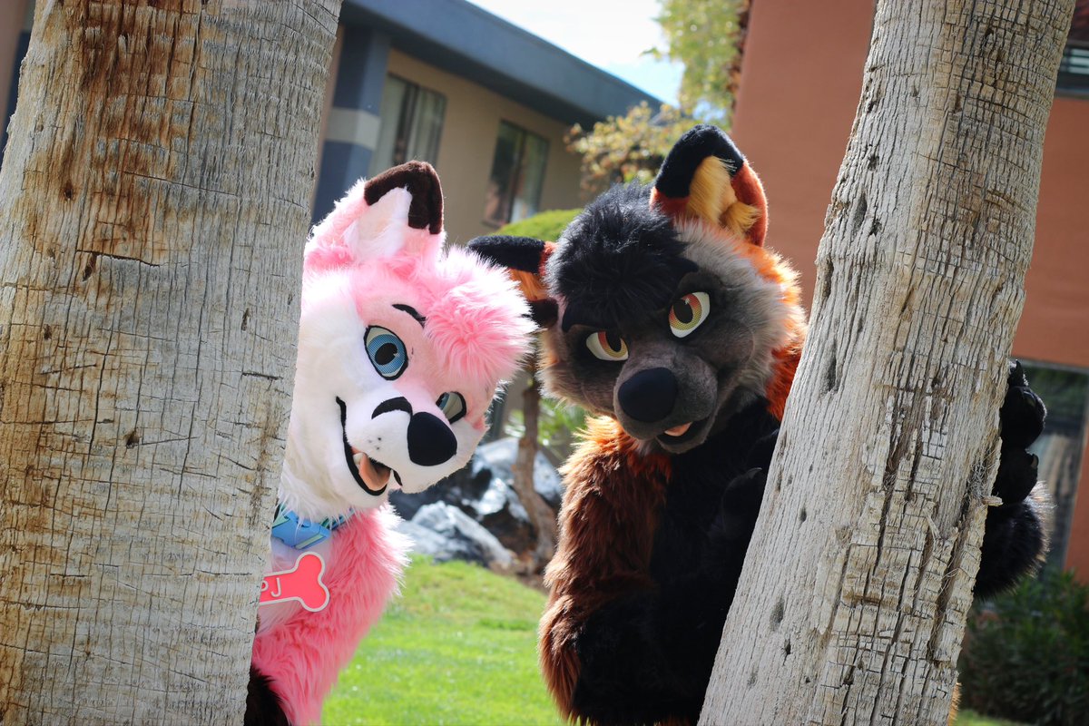 Crossfox and pinkfox exploring #LVFC and definitely not causing trouble. 😇 🦊🧡 @Tyler_TheFox 🦊🩷 @pjfoxes 🪡 @mixedcandy 📸 @HashHyena #FursuitFriday #furries #foxes #fursuit