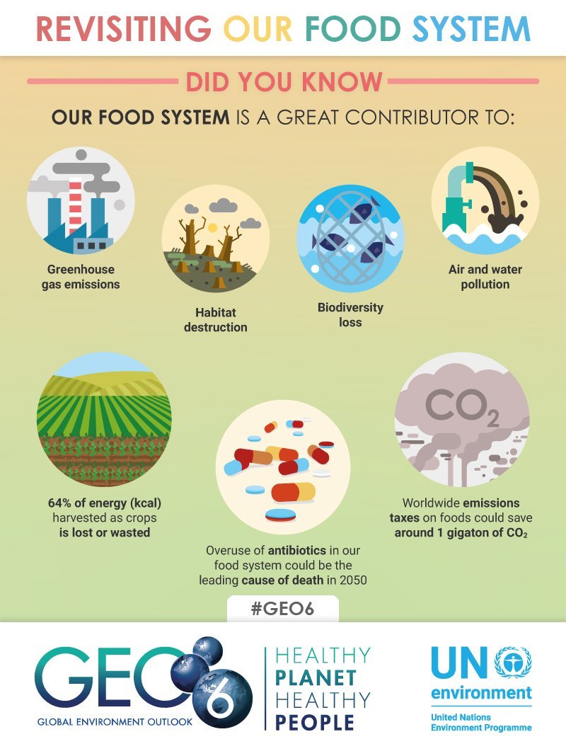 Our food system contributes to:
❎Greenhouse gas emissions
❎Habitat destruction
❎Biodiversity loss
❎Air and water pollution
We need to #SolveDiffererent to avoid detrimental effects on our precious environment & natural resources.
bit.ly/2FFQwpB #GEO6
@UNEP