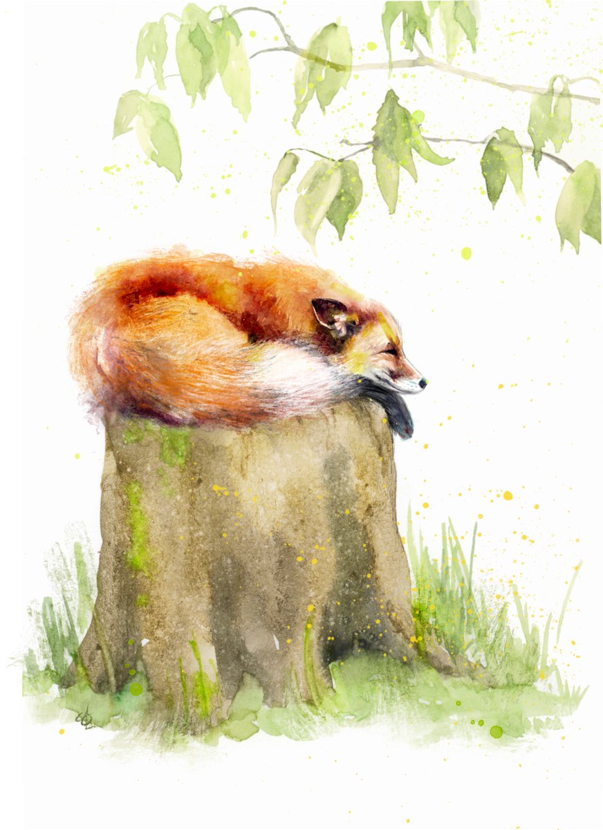 New cards coming soon! #redfox #fox #illustration #Watercolour #woodlandart