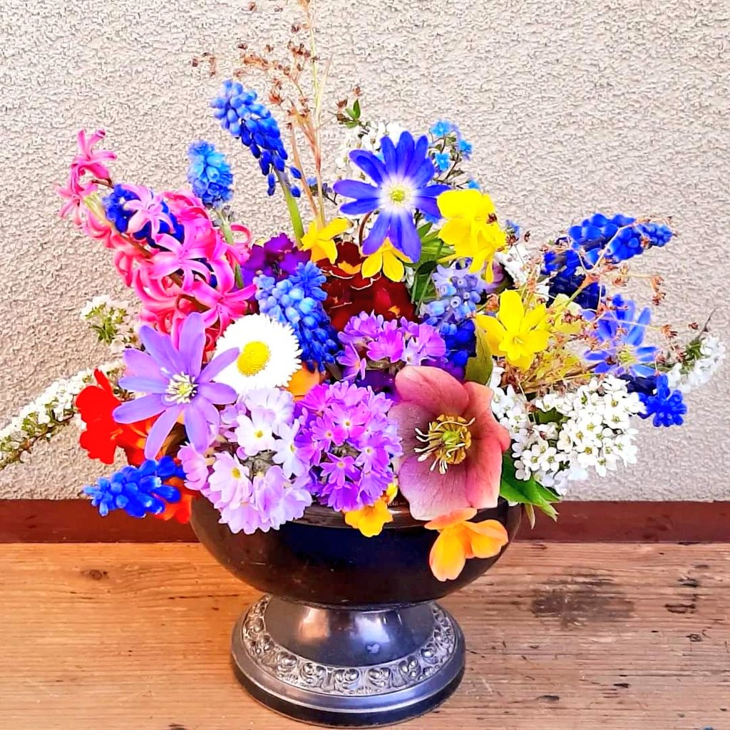 jpmoseley's tweet photo. Friday flower fix!
Have a great weekend and let's hope that the sun shines down!

#frommygardentoday #gardengathered #springflowers #seasonalflowers #Friday #flowerfix #flowersofinstagram #flowertalk #JonathanMoseley https://t.co/Ta3FKLHjzC