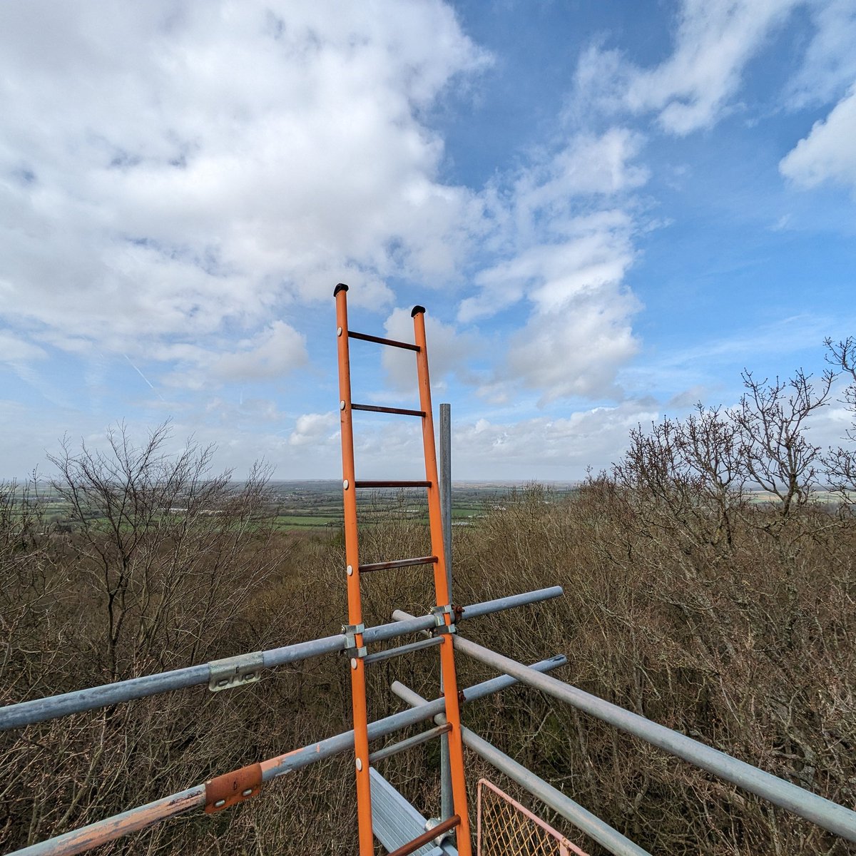 Luke A. Brown tweet media