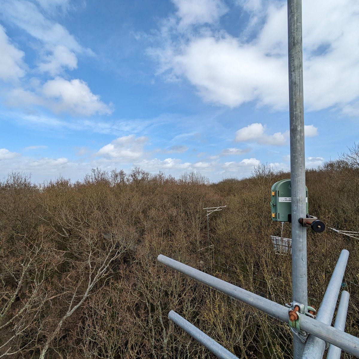 Luke A. Brown tweet media