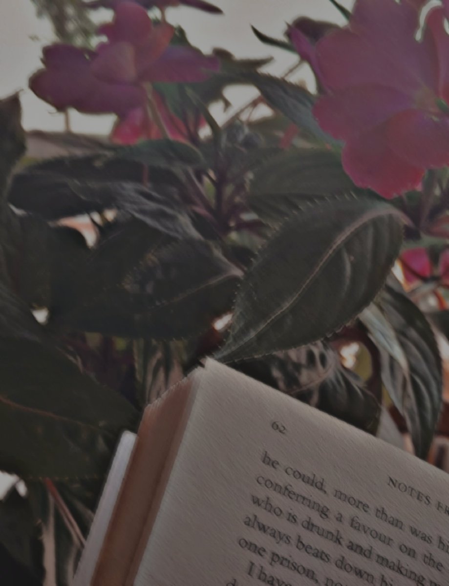 book reading mood