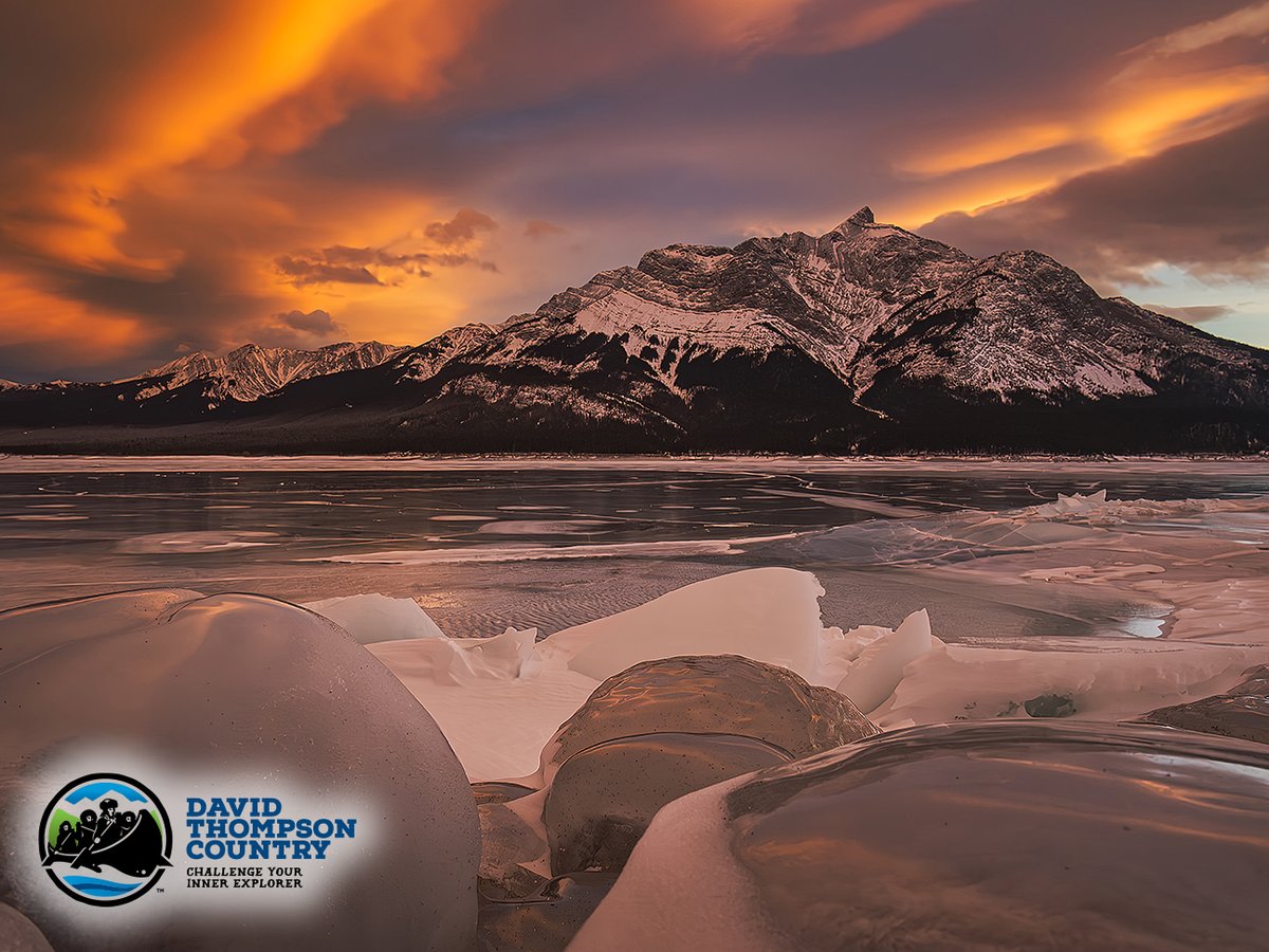 DavidThompsonCountry tweet media