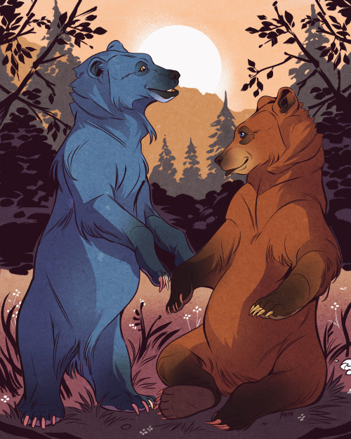 Loving bear couple