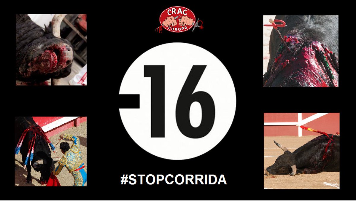 Reconnaître la violence et la cruauté des #corridas et protéger les #enfants👍 @Senat Une PPL d’interdiction de la corrida et des combats de coqs aux moins de 16 ans vient d'être déposée par @scazebonne @arnaud_bazinVO A lire sur notre site⬇️ anticorrida.com/actu/reconnait……