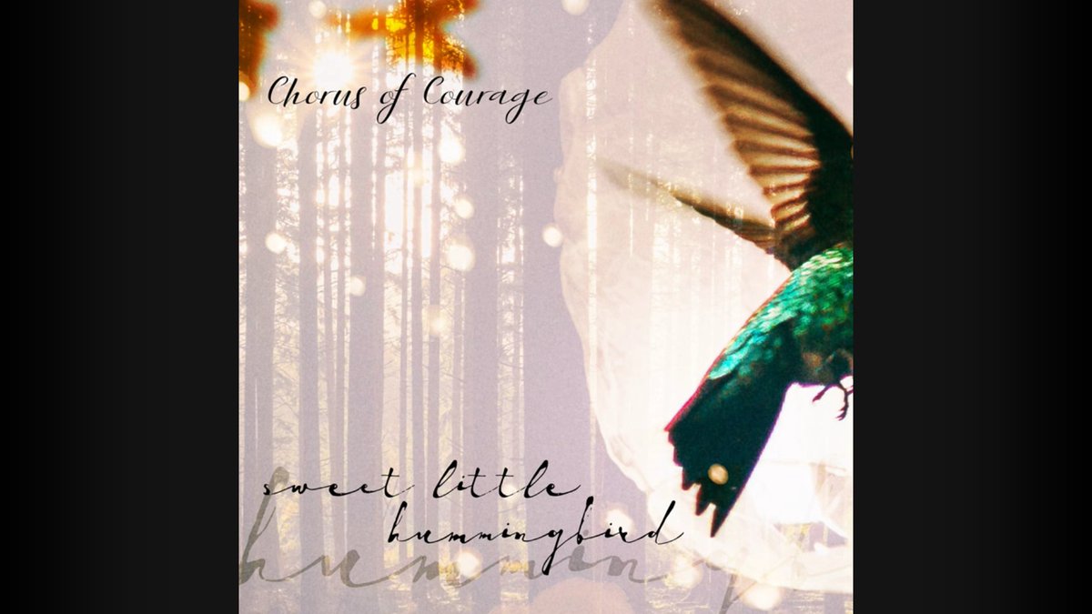 Chorus of Courage (cc: @jtaylorband) wants to help you heal on 'Sweet Little Hummingbird' raisedbycassettes.blogspot.com/2024/04/music-… #music #musicreviews #review #digitalmusic #spotify #youtube #single