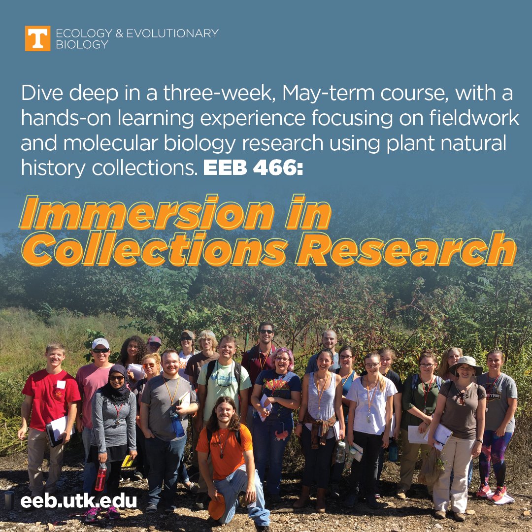 Jessica Budke PhD 🥼🌱🔬 (@mossplants) on Twitter photo Join us <a href="/UTKnoxville/">UT Knoxville</a> <a href="/UTK_EEB/">UTK EEB</a> for a 3-week, 3-credit undergrad course, May 16-Jun 5. Spots are still open!
Scholarships are available to help offset costs & housing is available for non-UTK students. Contact Dr. Jessica Budke at jbudke@utk.edu for more info and to register. Join us <a href="/UTKnoxville/">UT Knoxville</a> <a href="/UTK_EEB/">UTK EEB</a> for a 3-week, 3-credit undergrad course, May 16-Jun 5. Spots are still open!
Scholarships are available to help offset costs & housing is available for non-UTK students. Contact Dr. Jessica Budke at jbudke@utk.edu for more info and to register.