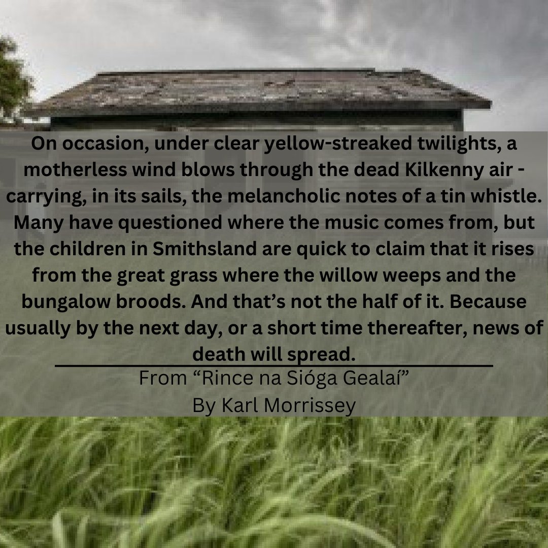SoupLitMag's tweet photo. Another week another Fiction Friday! This week we're bringing you an extract from Karl Morrissery's "Rince na Sióga Gealaí."

#fictionfriday #fiction #ucc #litmag https://t.co/tMxp6hZMjE