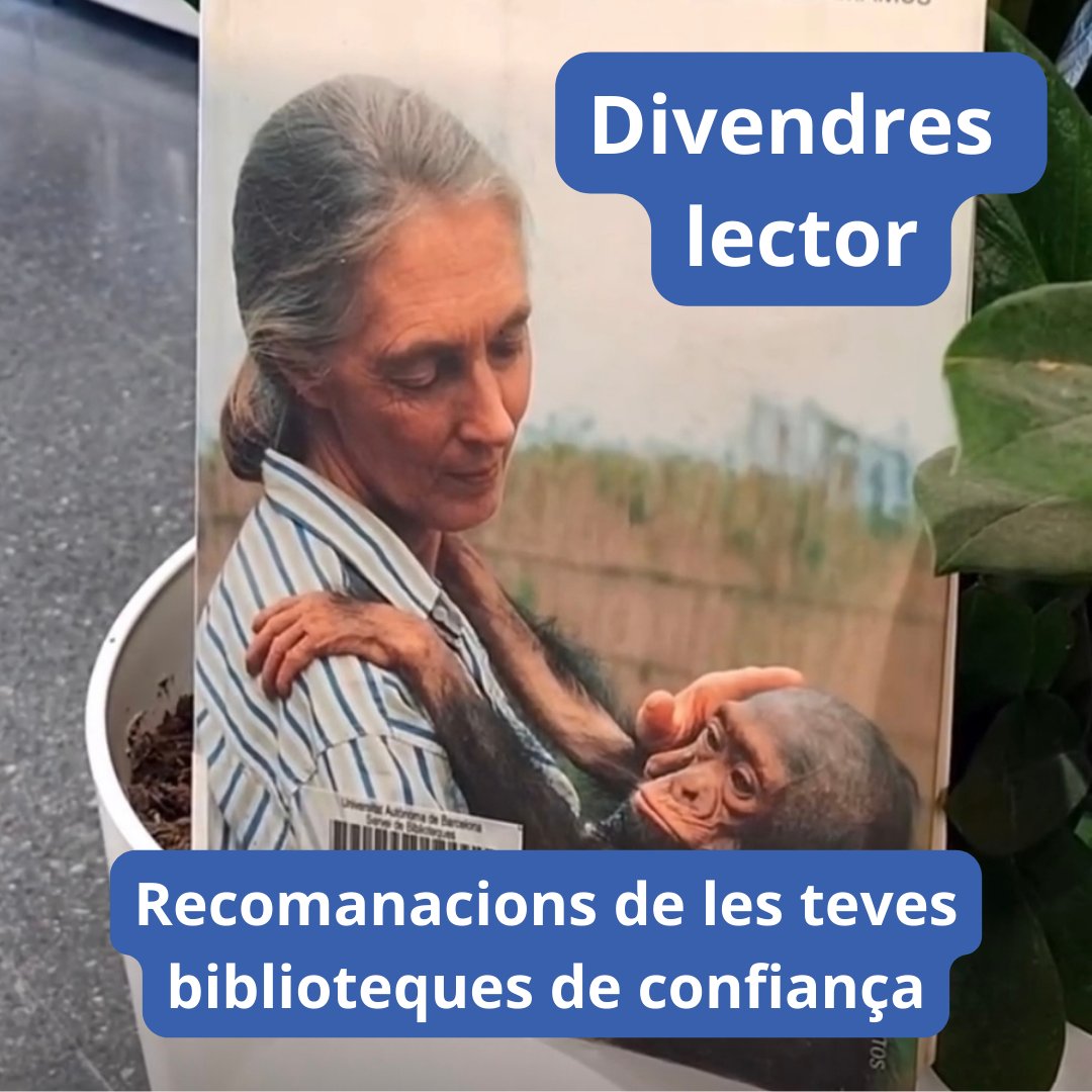 bibliotequesUAB's tweet photo. Jane Goodall és primatòloga, etnòloga i antropòloga, nascuda el 3 d'abril de 1934, aquesta setmana fa 90 anys. 🦍🌳🌿

Descobriu el #DivendresLector que li dediquem!

#bibuabrecomanem
#bibliotequesUABu
#ciènciaxllegirBCT
#DonesiCiència
@EdicionesPaidos 
@JaneGoodallEspa 

🧵(1/4) https://t.co/1MLPxd32RZ