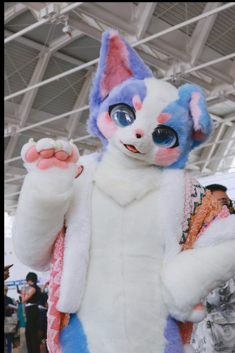 IAM_CAT_M's tweet photo. 带着阿福去漫展~ https://t.co/zz1g2kViAo