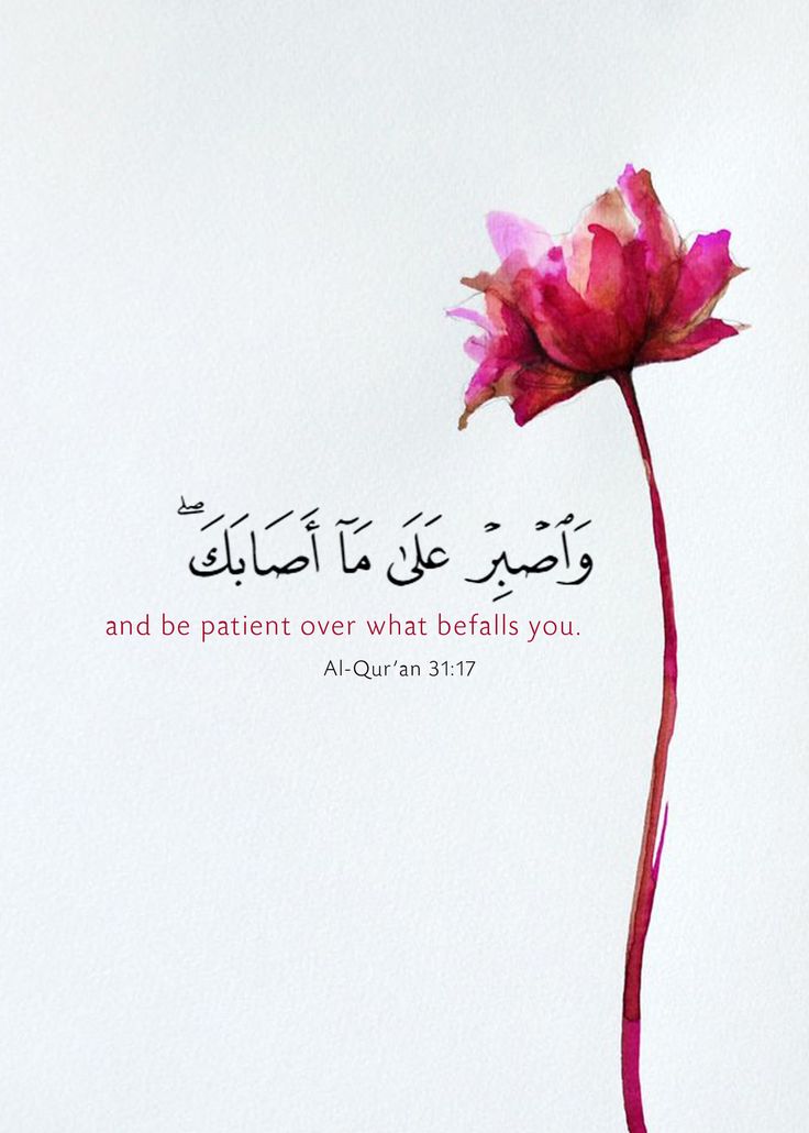 السلام وعلیکم
بیشک
#すずめの戸締まり