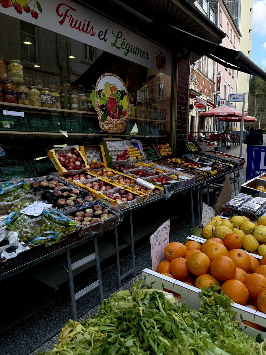 1000 🇱🇺🇯🇵 tweet media