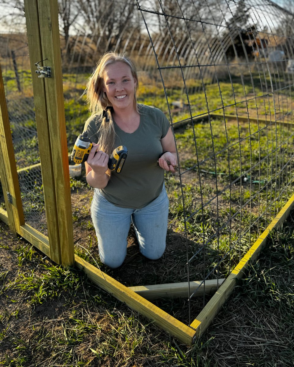 FemaleRancher's tweet photo. Wrapping up the chicken coop project, and feeling proud of the progress! ππͺ It's been mostly a solo effort, and seeing it come together is incredibly rewarding. What about you? What recent projects have you tackled that fill you with pride? #DIYChickens #BuildingPride #FarmLife https://t.co/ynt1066NvN