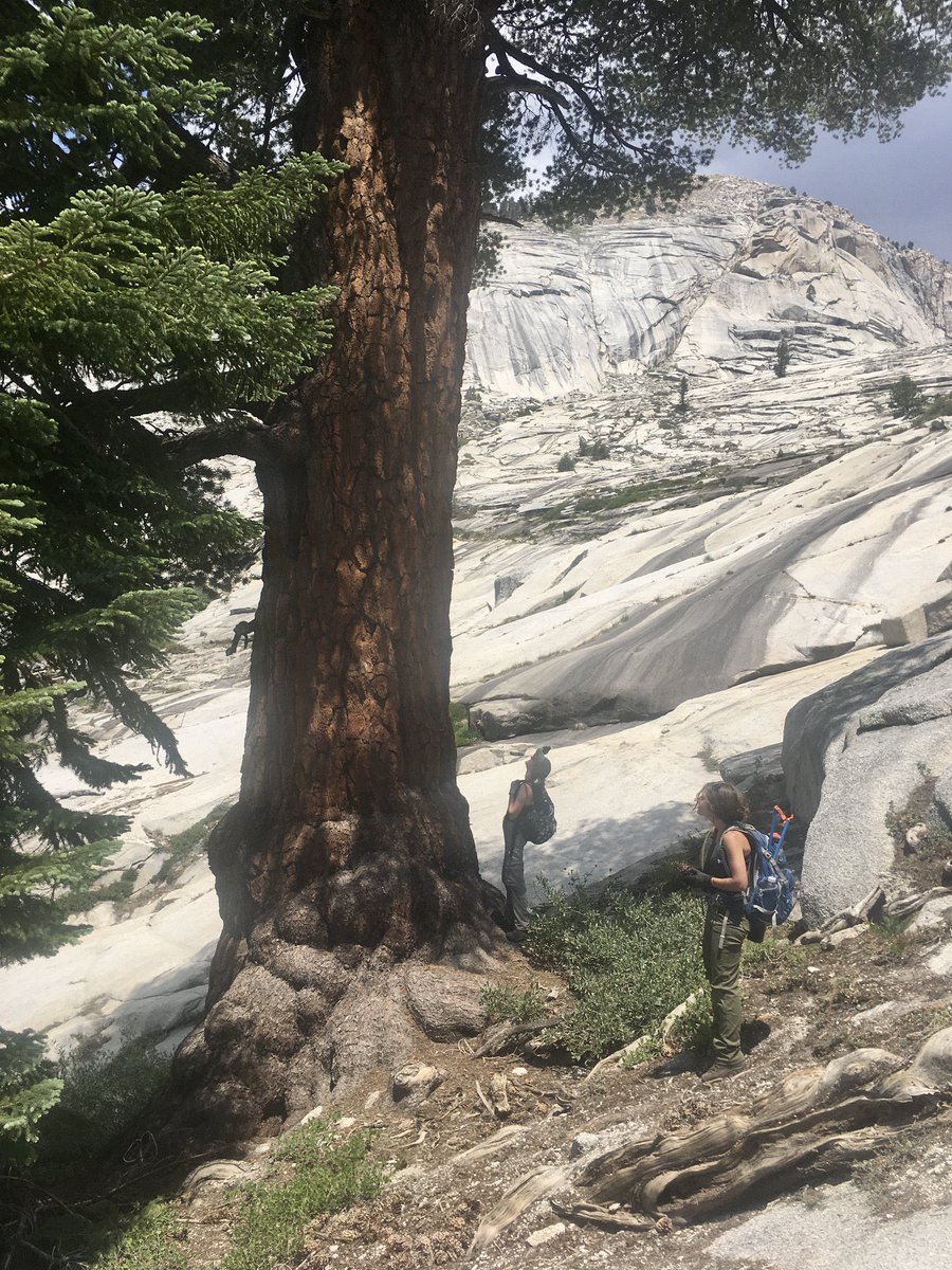 Ellen Bergan tweet media