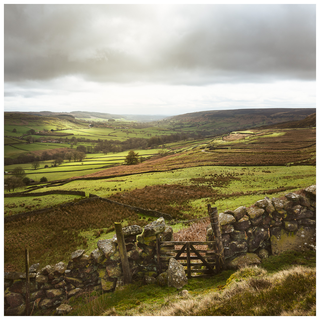 Light across the valley. @ThePhotoHour #landscapephotography #landscape #blakeyridge #places #landscape_hunter #landscapelover #photography #nikon #nikonphotography #outdoorphotography #northyorkshire #moors #northyorkmoors #benro #outdoorphotomag