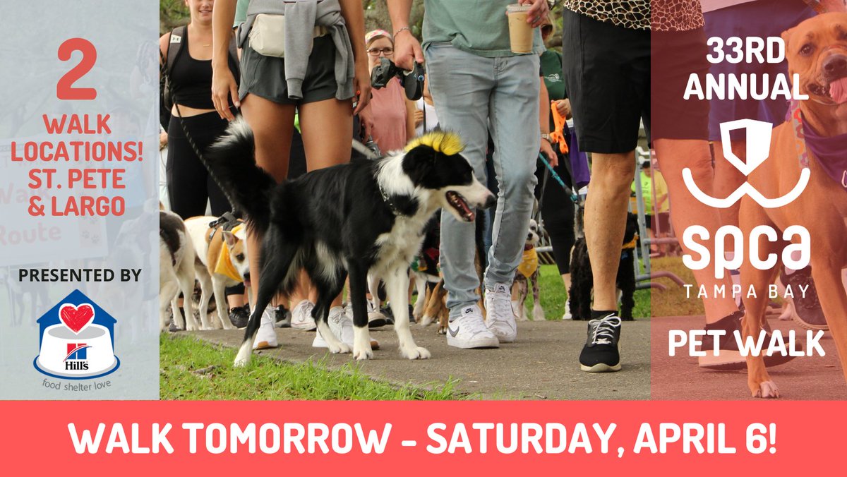 Pet Walk is Tomorrow! Join Safer Home Services at either Pet Walk location, St. Pete or Largo, and help support a great cause in our community. 

#SPCATampaBay #StPete #Largo #PetWalk