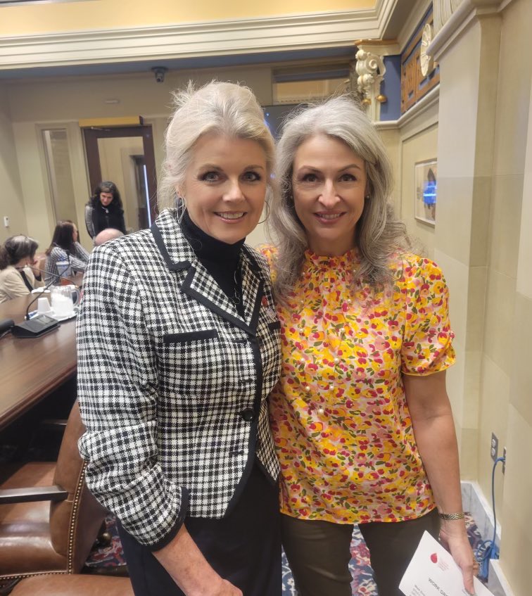 DiabetesPAC's tweet photo. DPAC Champion Kim Koleber presented to the Oklahoma Diabetes Caucus on the importance of lowering patients’ prescription costs through PBM rebate reform. Thank you for your advocacy, Kim - we couldn’t do this important work without you! https://t.co/wTPeBjnzJf
